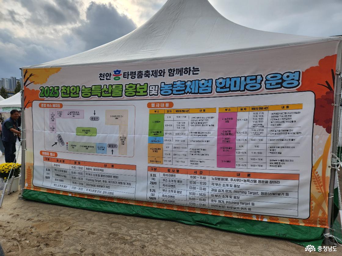 흥타령 관련 이미지