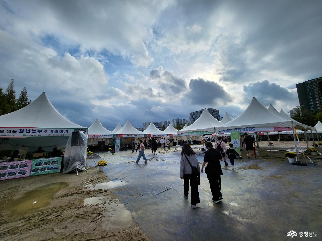 흥타령 관련 이미지