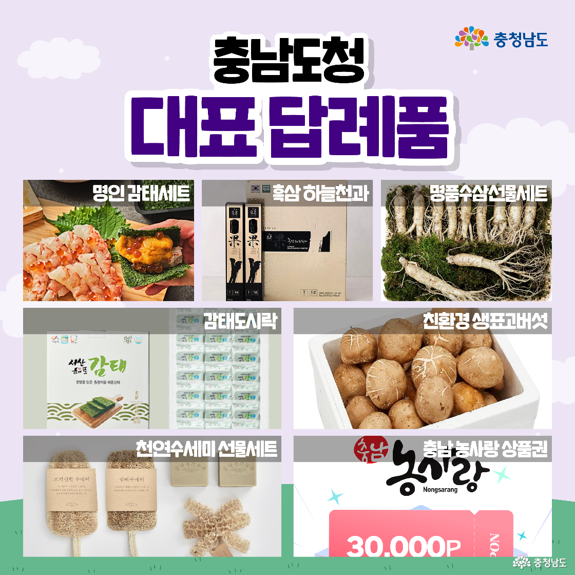 마지막 충청남도 대표 답례품 포스터입니다. 명인감태세트, 흑삼하늘천과, 명품수삼선물세트 등 고급스러운 답례품들과 친환경 농산물, 농사랑 상품권까지 다채로운 품목들이 소개되어 있습니다.