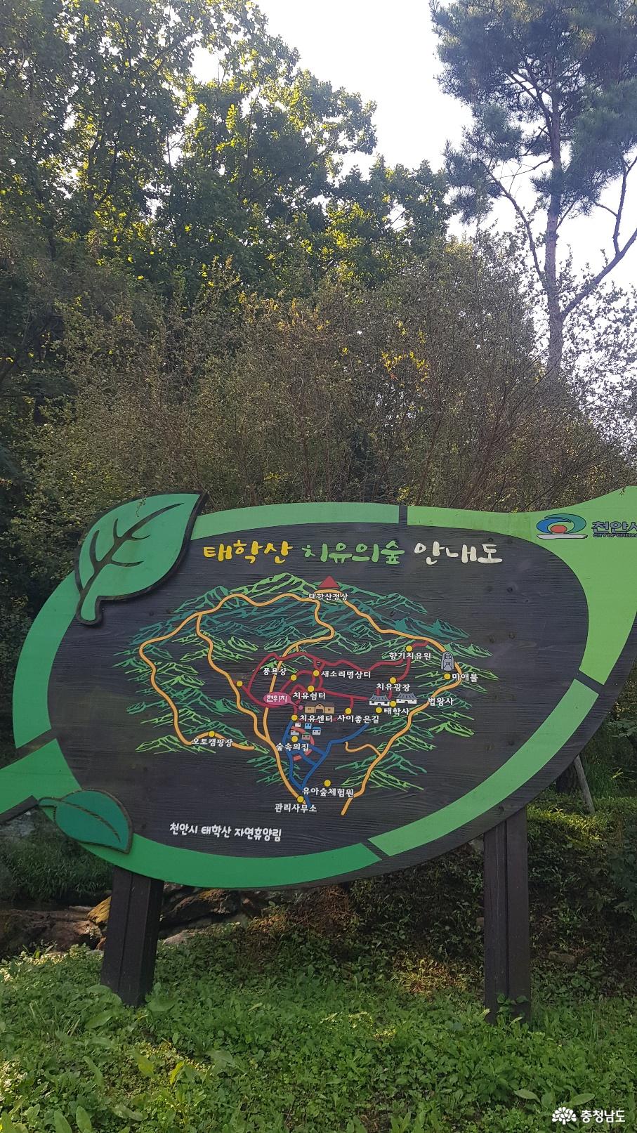 천안 태악산 치유의 숲