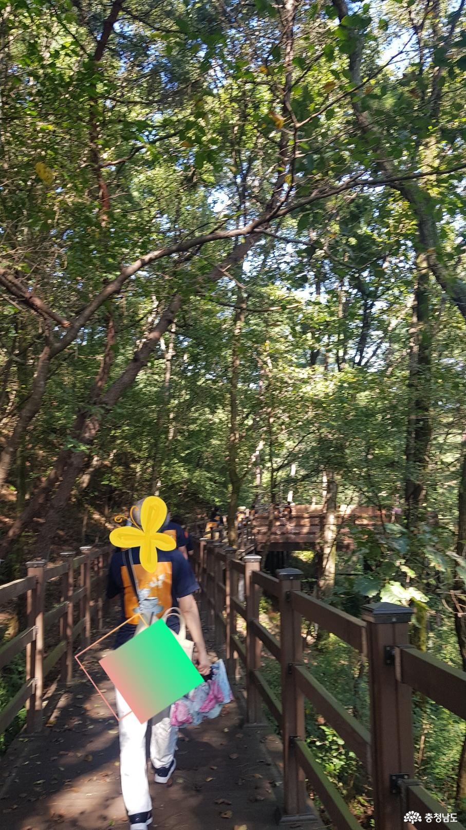 천안 태악산 치유의 숲