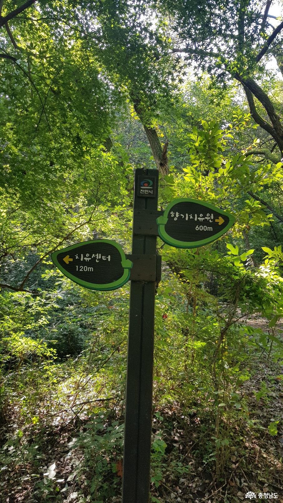 천안 태악산 치유의 숲