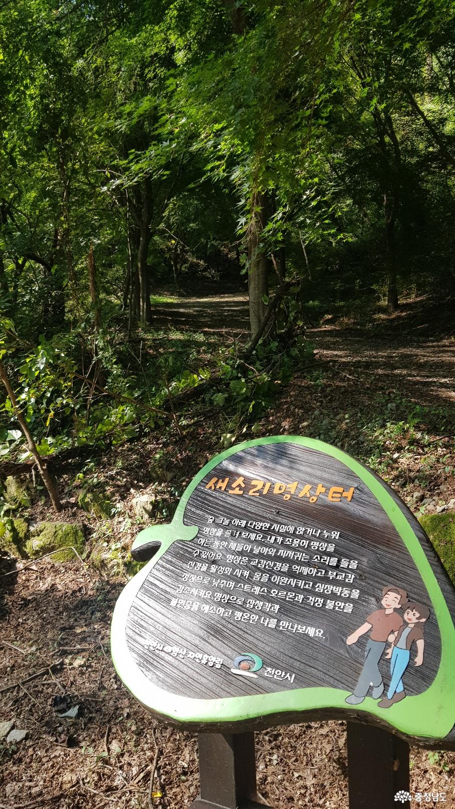 천안 태악산 치유의 숲