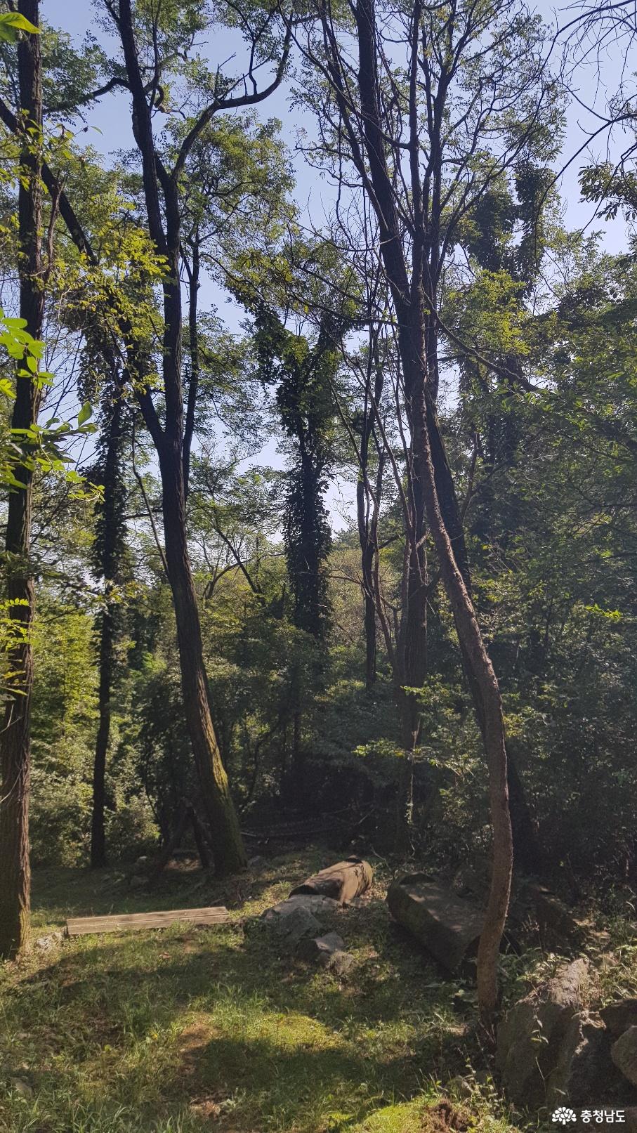 천안 태악산 치유의 숲