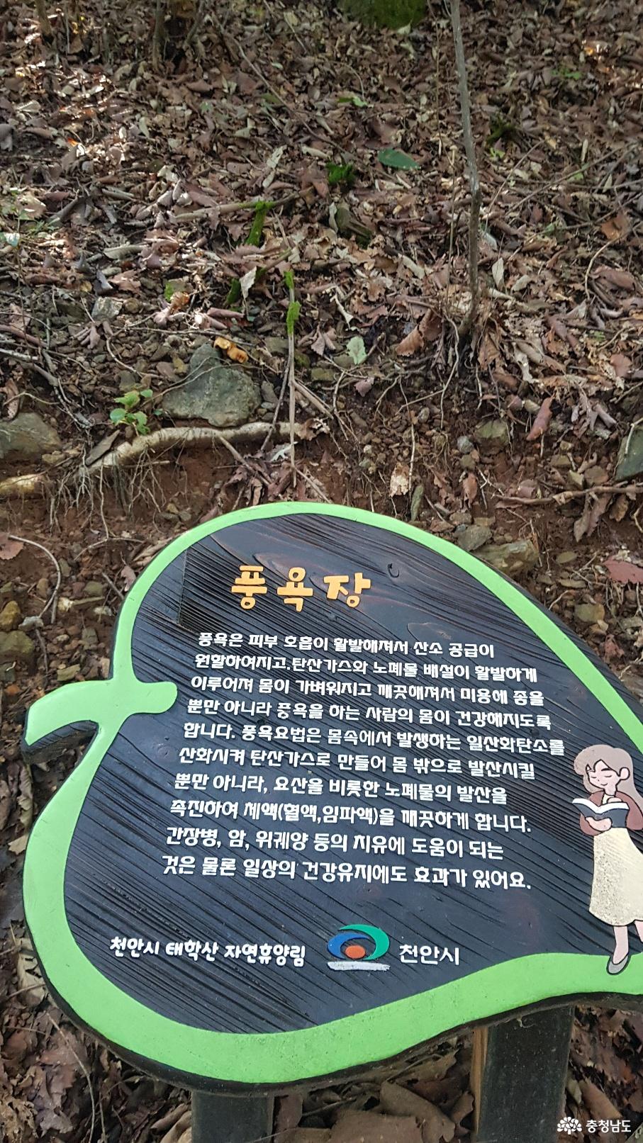 천안 태악산 치유의 숲