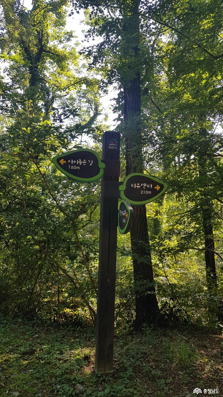 천안 태악산 치유의 숲