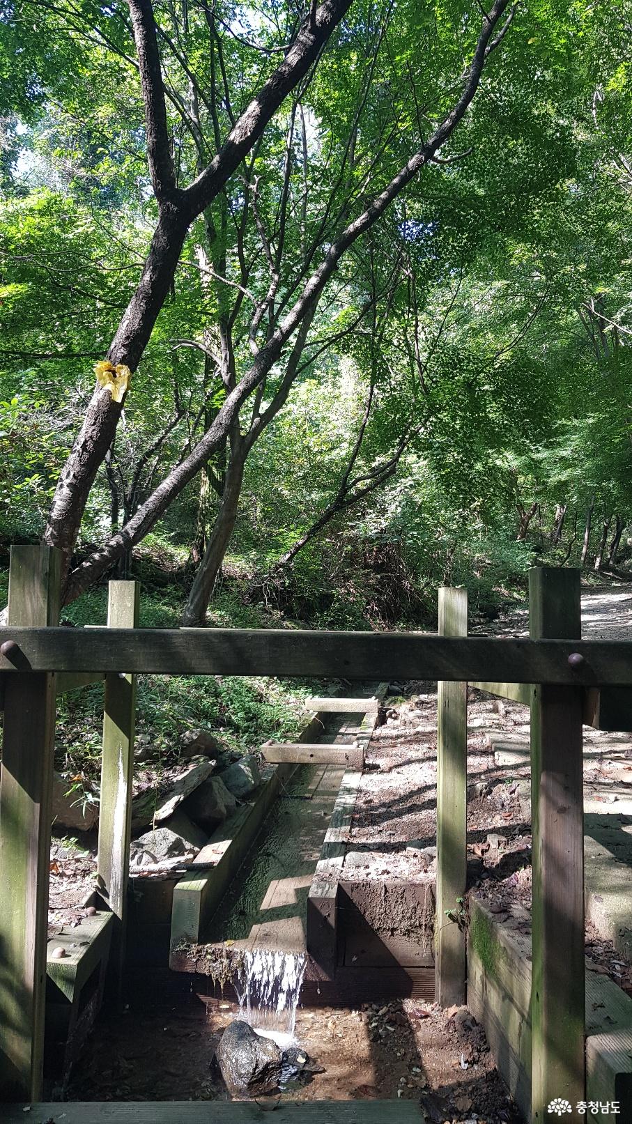 천안 태악산 치유의 숲
