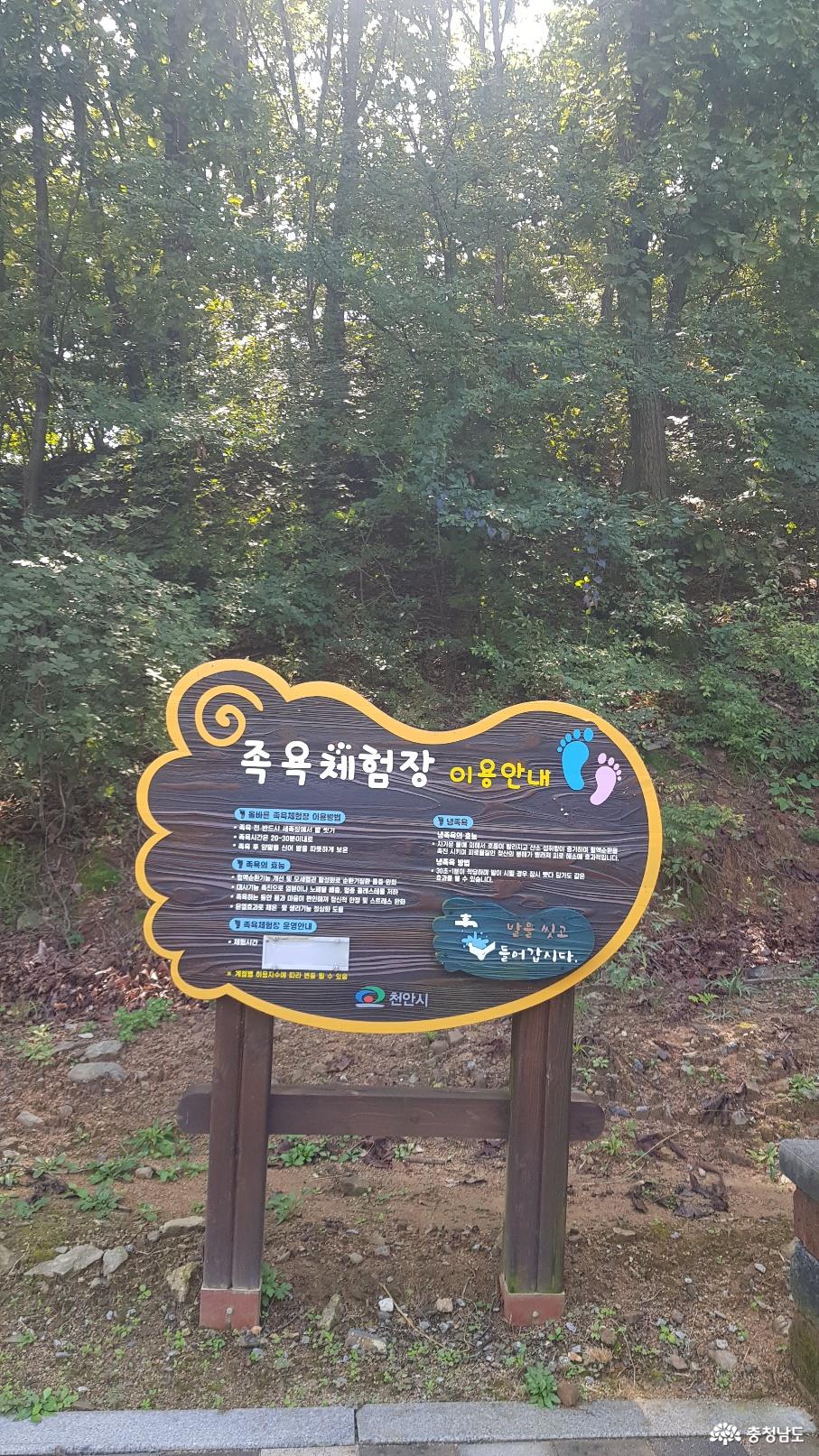 천안 태악산 치유의 숲