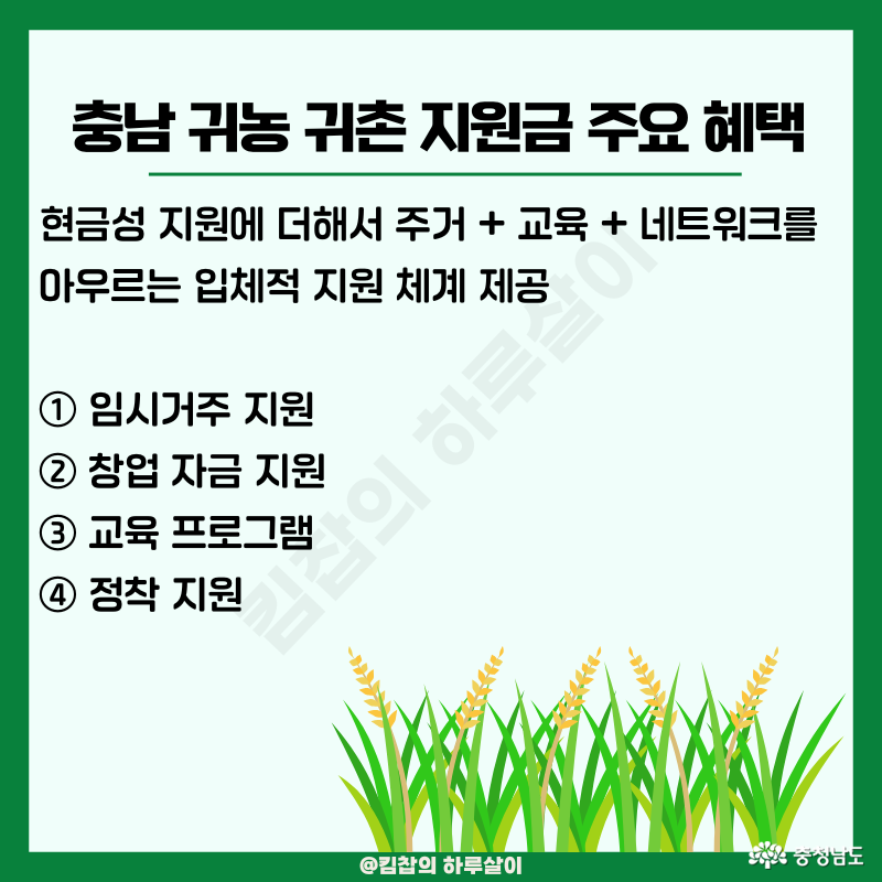 ① 임시 거주 지원: 농촌 생활에 적응할 수 있도록 체류형 농업창업지원센터, 귀농인의 집 등 임시 거주 공간 제공 ② 창업 자금 지원: 귀농 창업 자금, 주택 구입·수리자금 대출을 통해 초기 정착 부담 완화 (최대 3억 원 내외) ③ 교육 프로그램: 농업기술원·지역 센터에서 재배, 유통, 경영 교육 제공 → 초보자도 농업에 쉽게 도전 가능 ④ 정착 지원: 멘토링, 마을 공동체 네트워킹 프로그램 운영 → 사회적 정착 지원