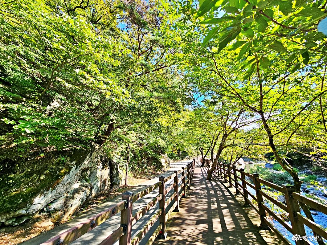 마곡사 데크길