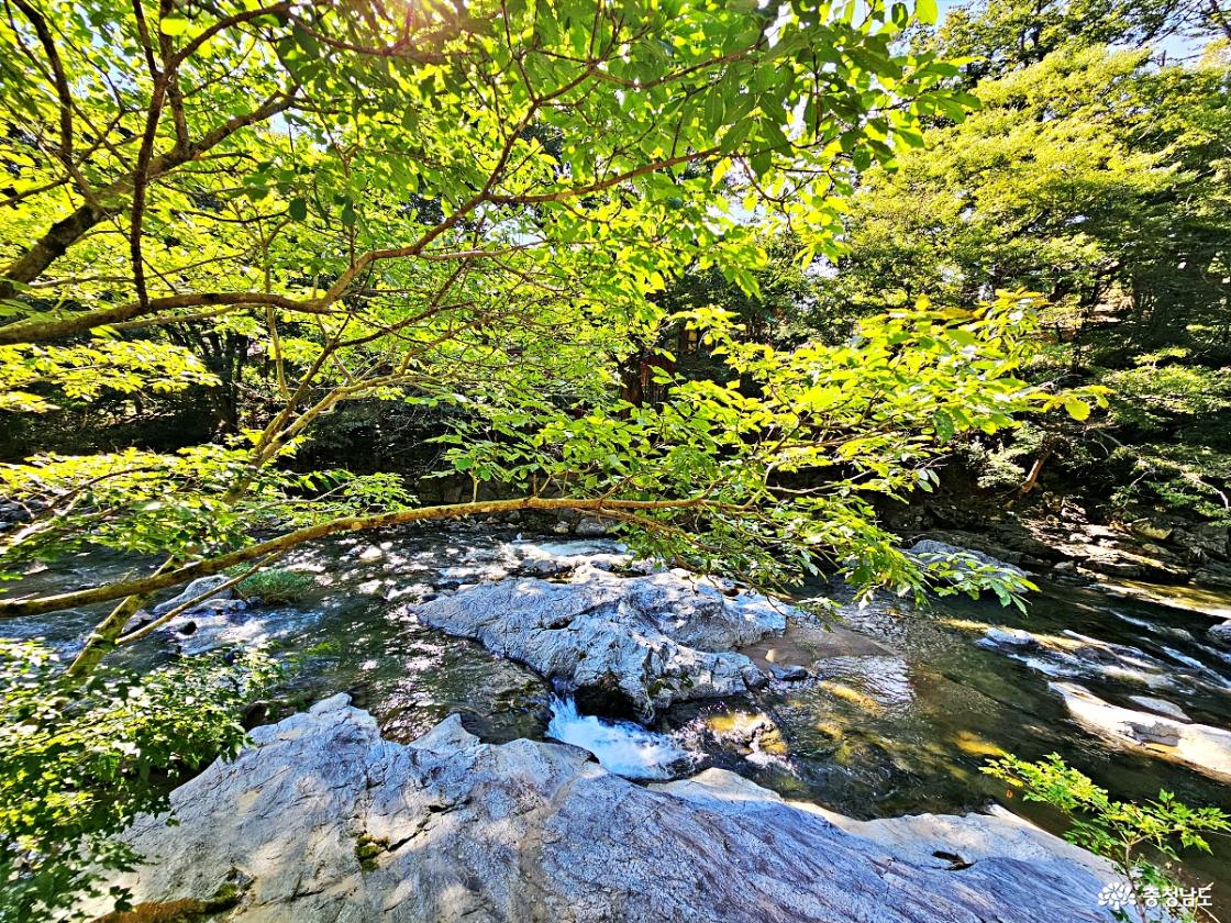 데크길 아래 풍경