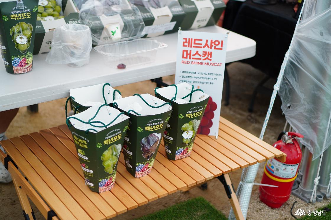 천안시 농특산물 한마당 큰잔치 레드샤인머스캣