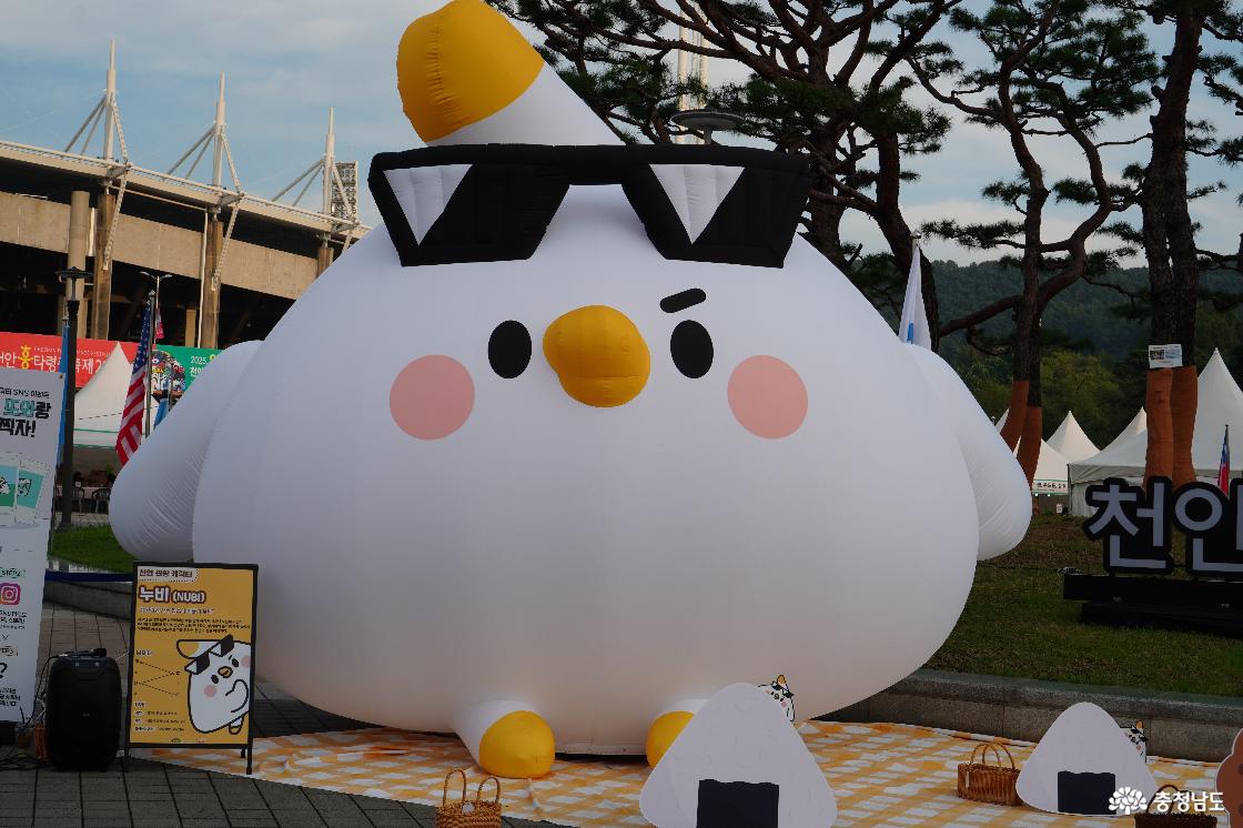 천안 관광 마스코트 &lsquo;누비&rsquo;