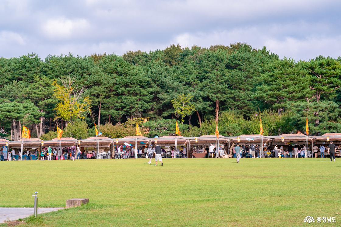 백제문화제 부여 기본정보