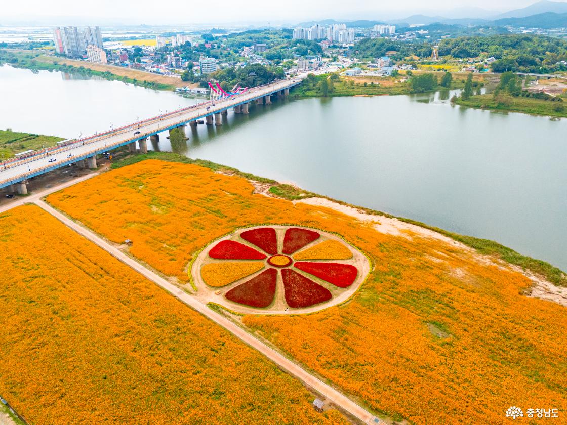 백제문화제 부여 기본정보