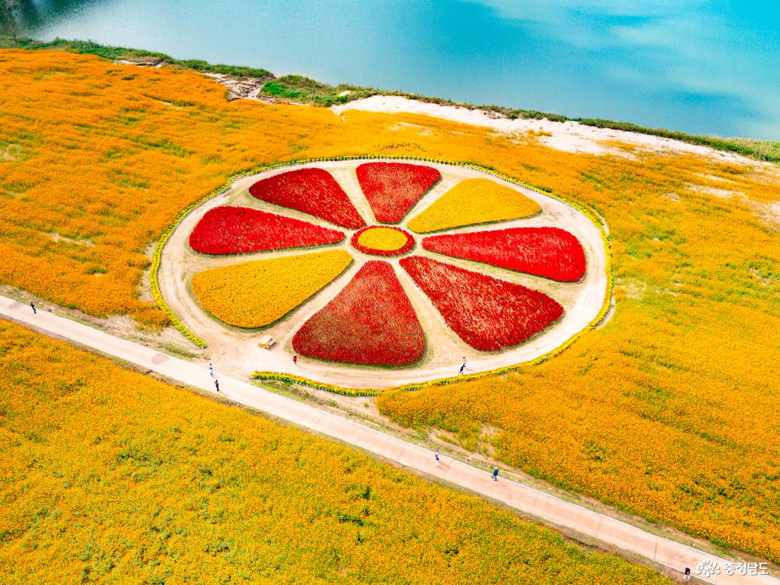 백제문화제 부여 기본정보