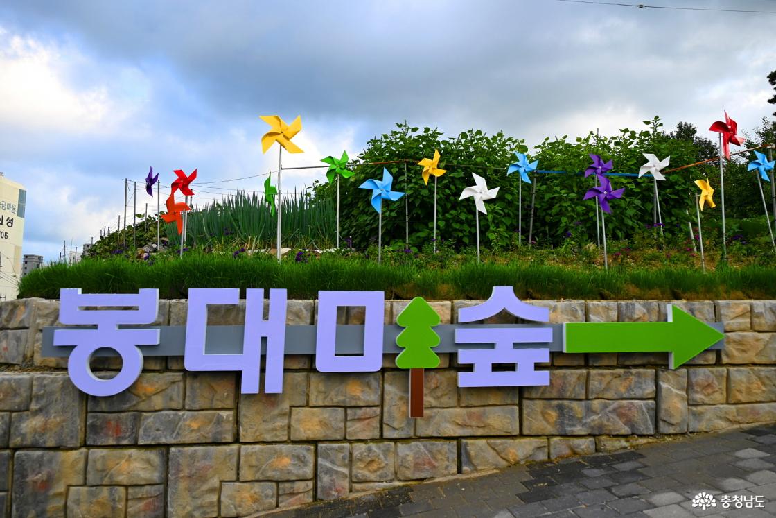 걸으면서 건강 챙기고 산책하기 좋은 봉대미산과 봉대미숲 황톳길