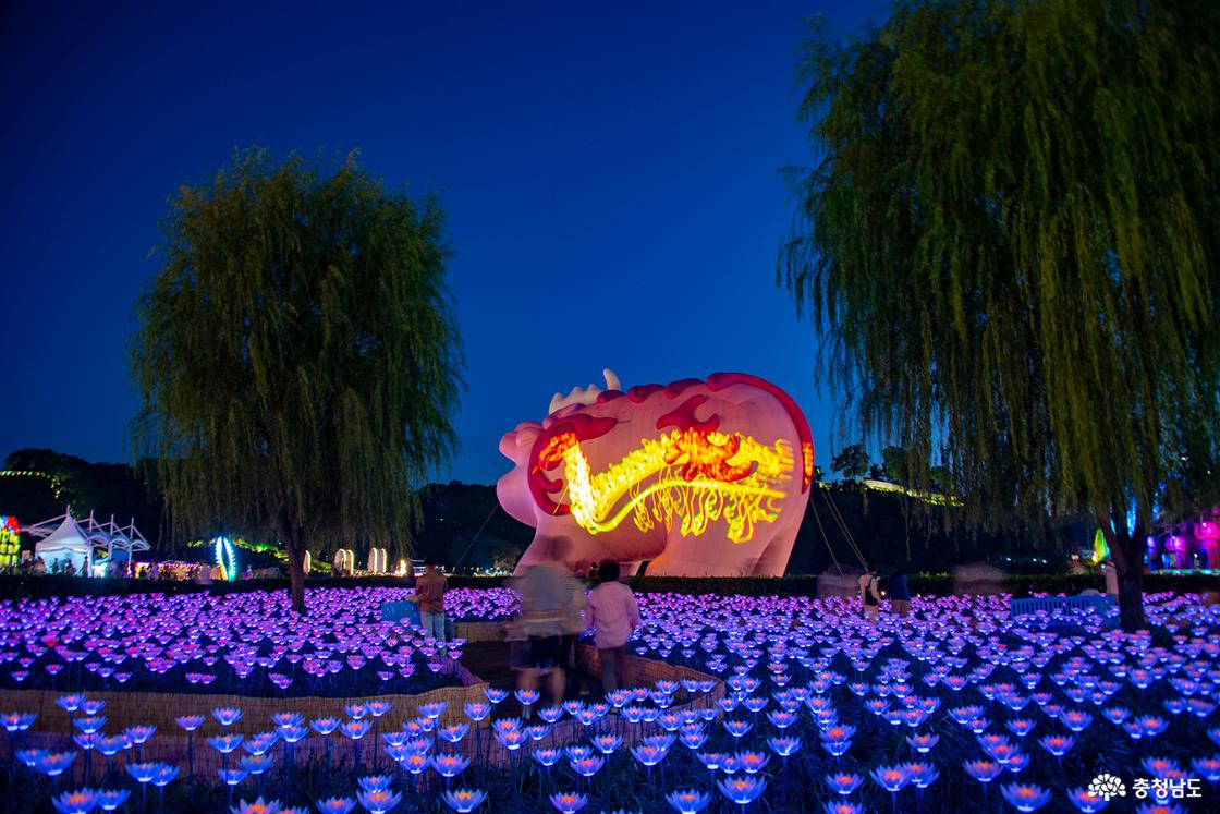 미르섬 대형 진묘수를 스크린으로 펼쳐지는 미디어쇼