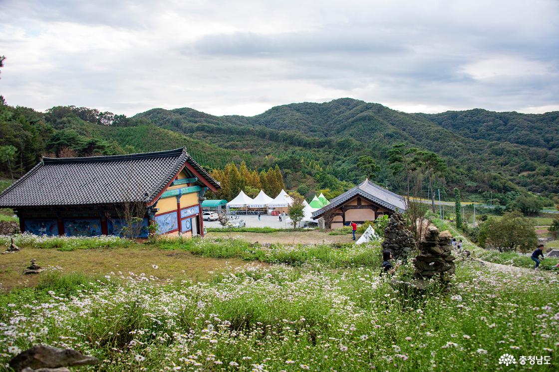 구절초가 만발한 구절산 구룡사 전경