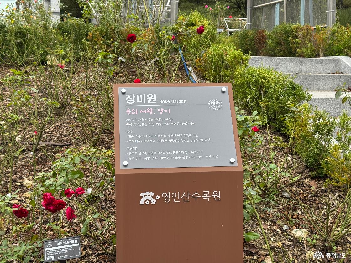 영인산