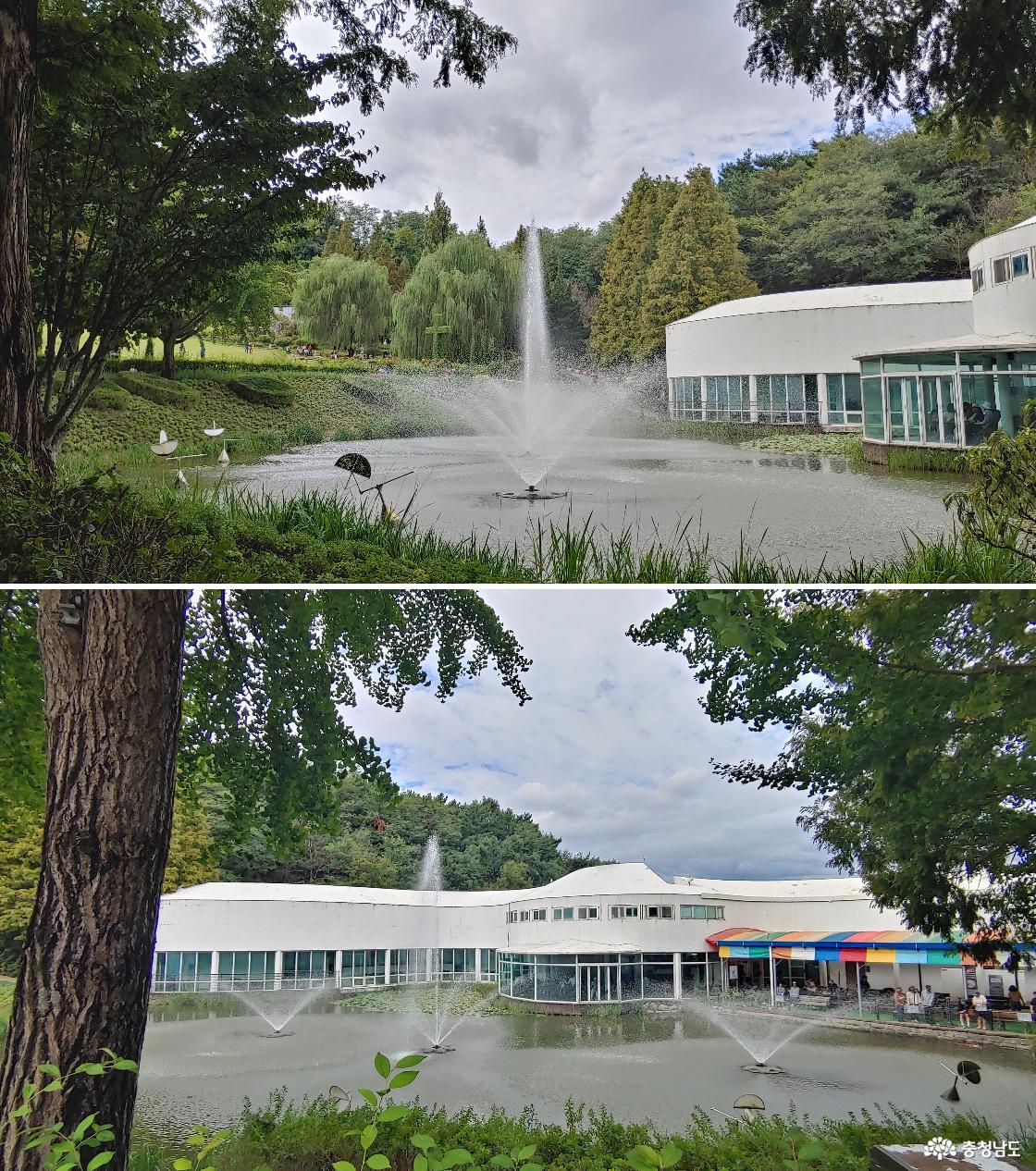 레이크 카페와 기프트 숍