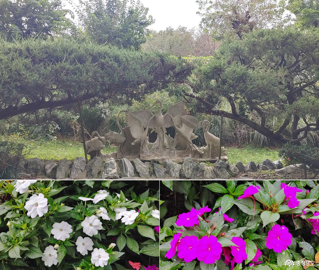 조각작품으로 다시 태어난 우아한 학들 / 임파 체스(서양 봉선화)