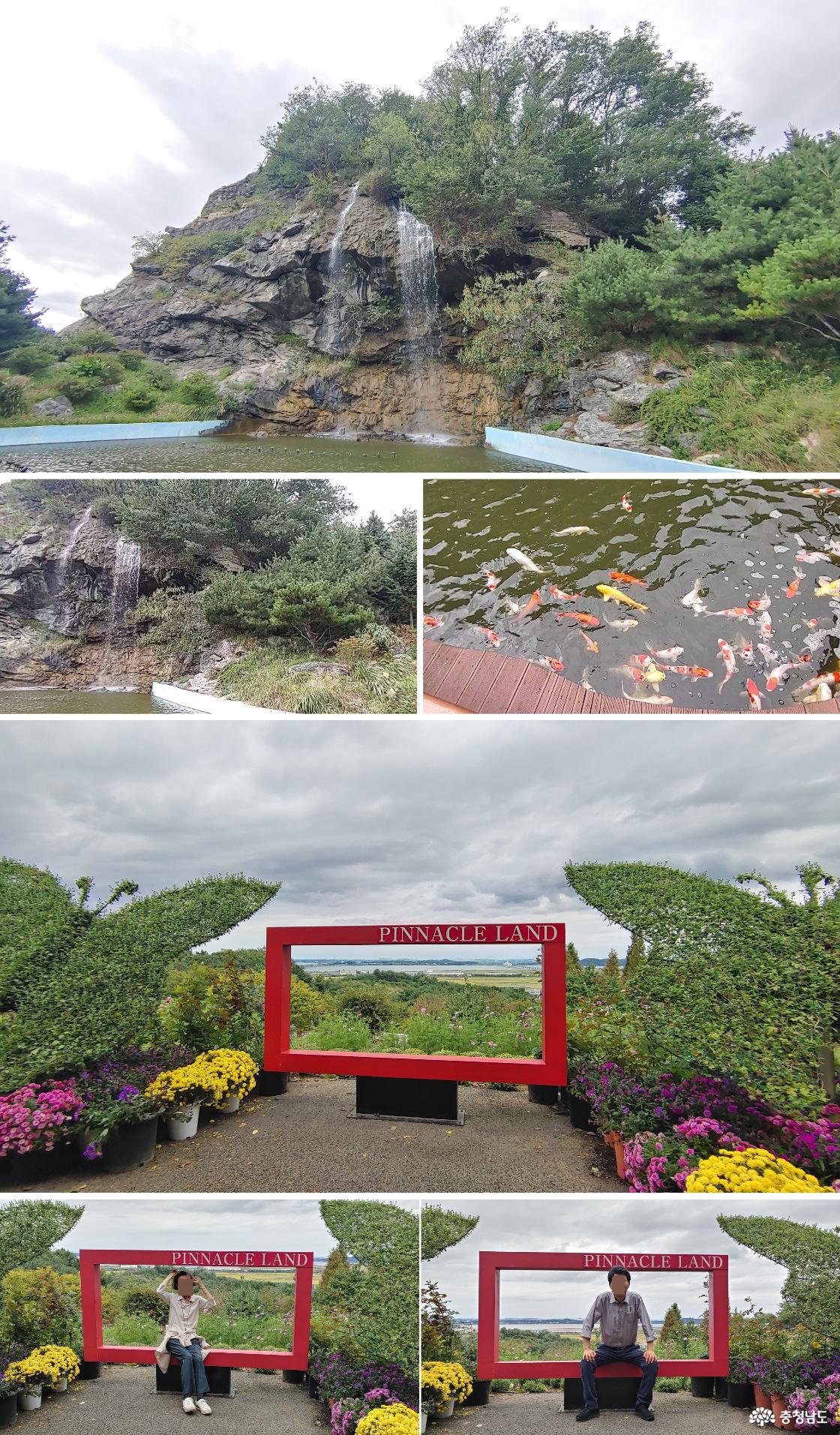 달빛폭포 / 폭포 물 속에서 살고 있는 잉어떼들 /포토존 