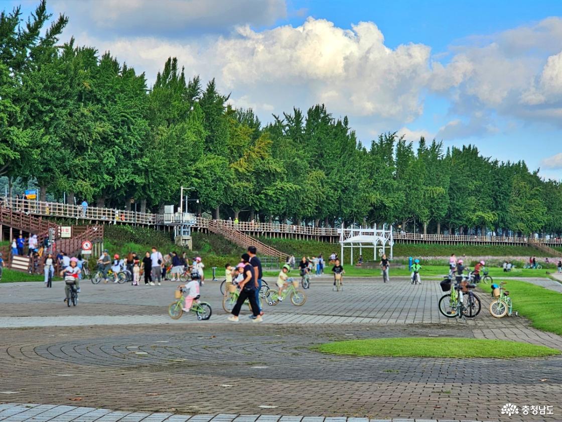 자전거 타는 관광객들