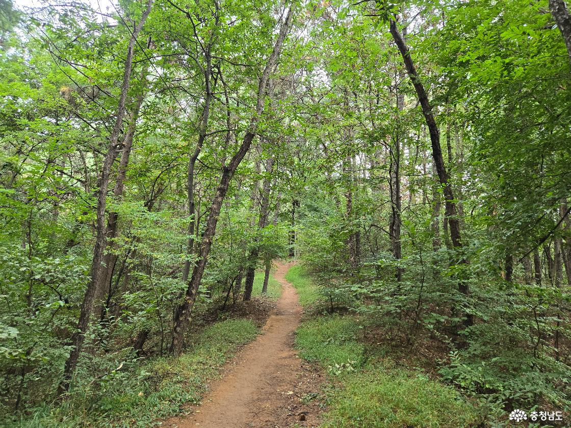 봉서산