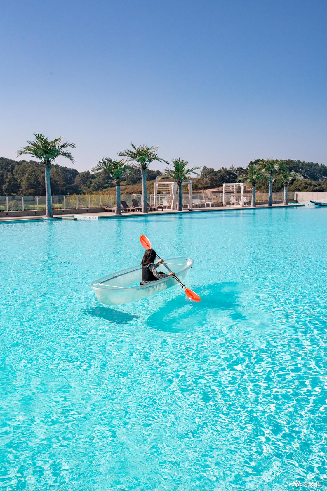 보령가볼만한곳 엘리스테이 풀빌라 리조트
