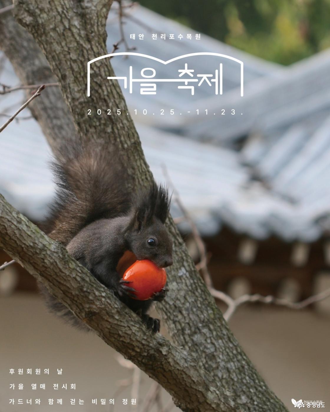 축제