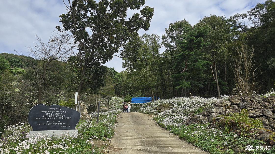 구절암으로 향하는 사색의 길