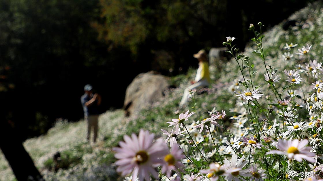남는 것은 사진 밖에 없다는 말이 실감 난다.