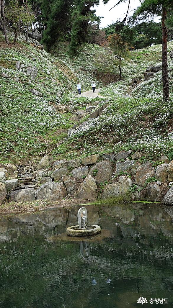 구절암 가는 길에 있는 작은 연못