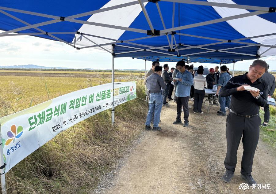 대량급식 최적화 벼 신품종 ‘지키미’