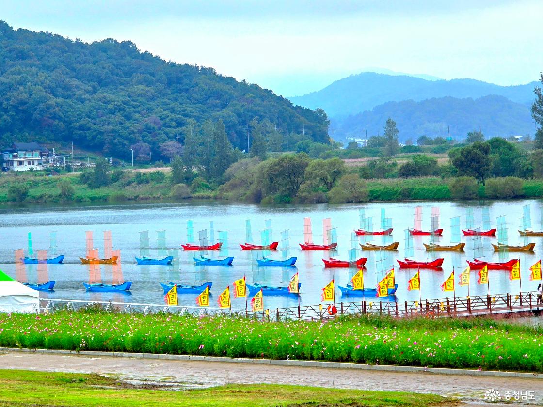 백제문화제때 백마강변 부교 모습