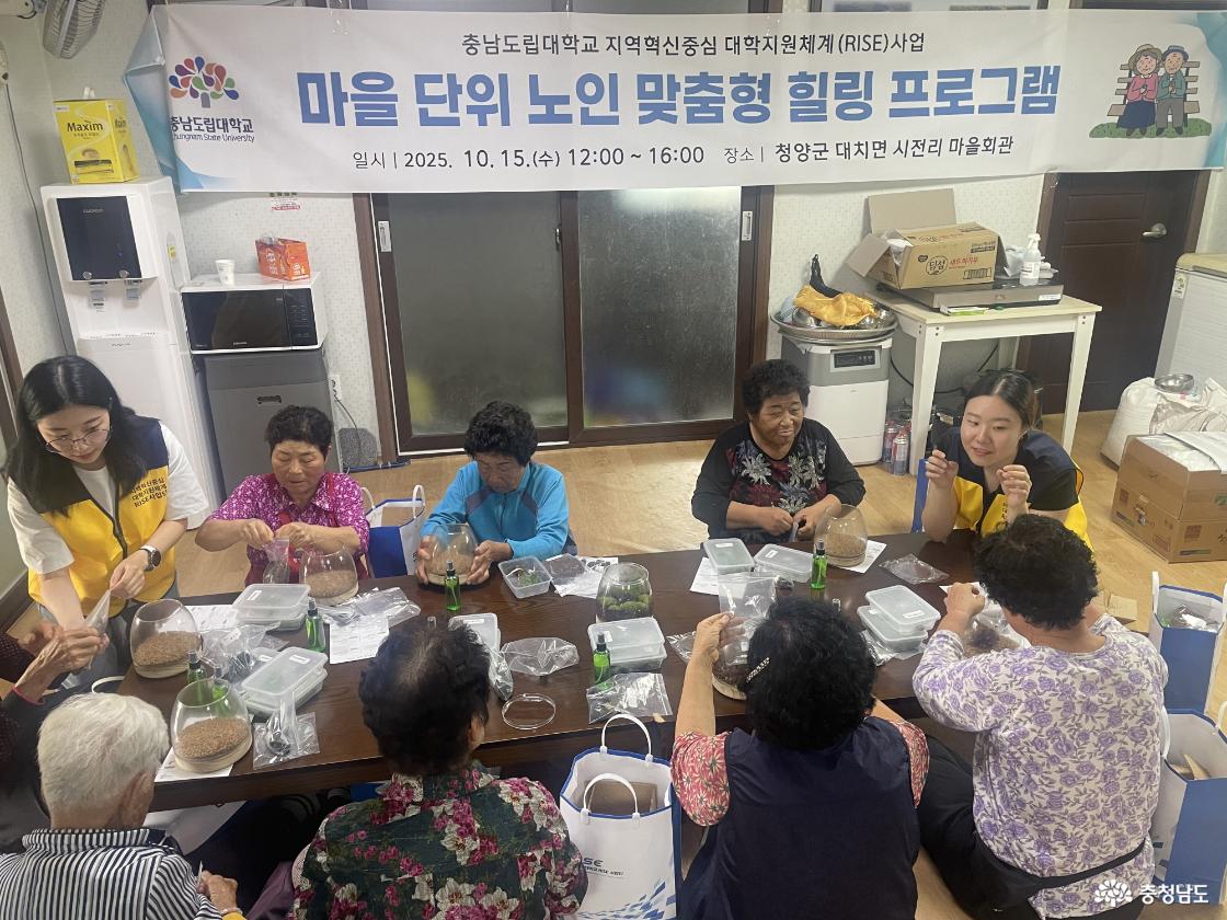 마을 단위 노인 맞춤형 힐링 프로그램. 일시: 2025년 10월 15일(수) 12:00~16:00. 장소: 청양군 대치면 시전리 마을회관.
