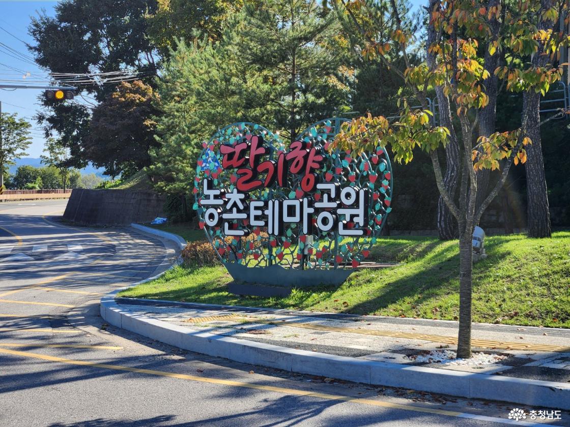 논산 실내 아이랑 가볼만한곳 딸기향농촌테마파크