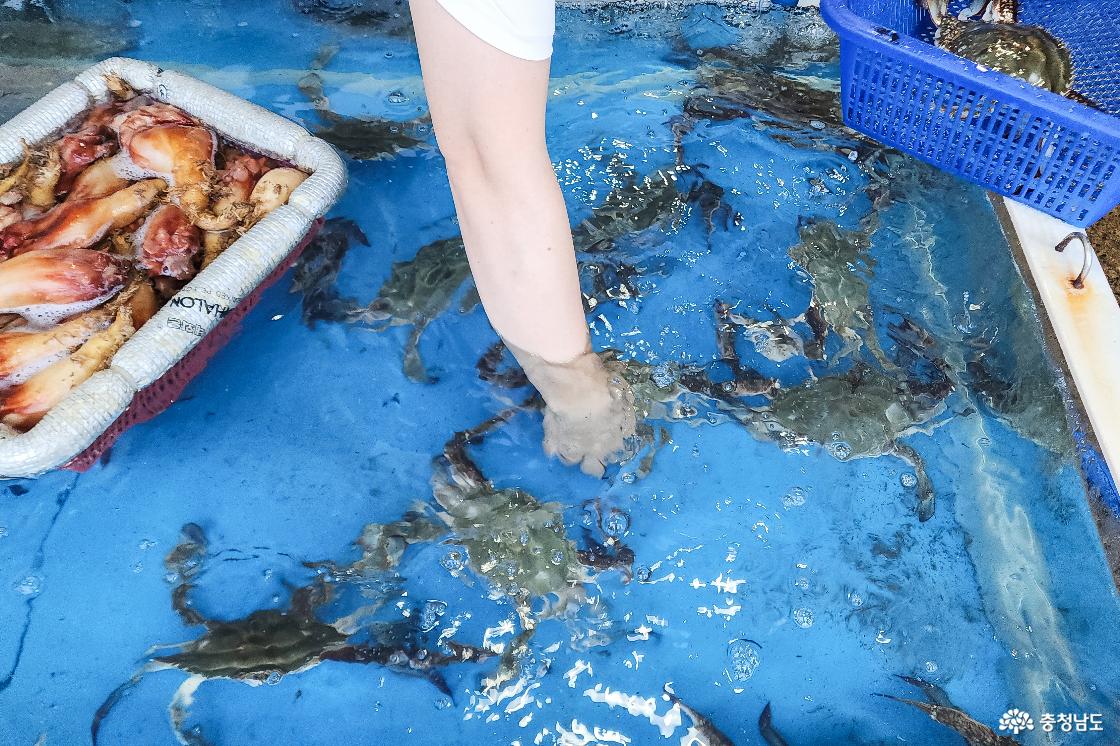 꽃게