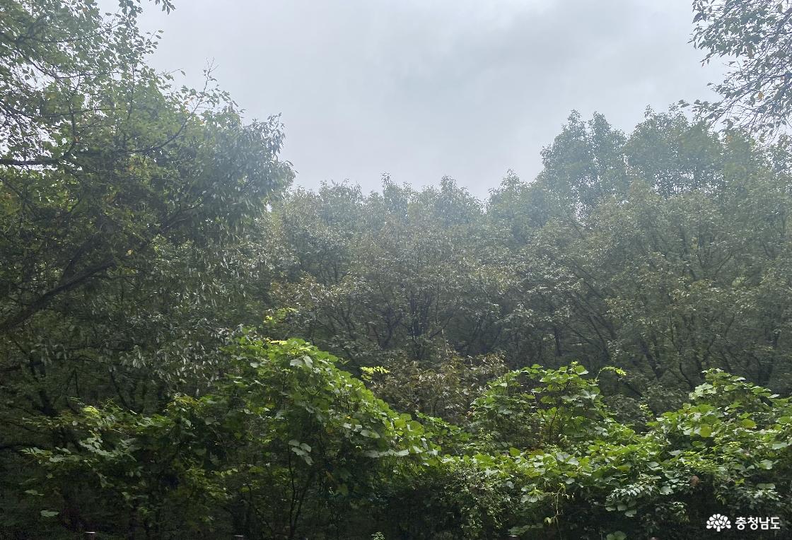 계룡산 국립공원 11
