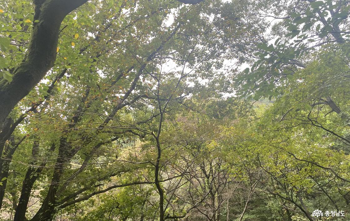 계룡산 국립공원 13