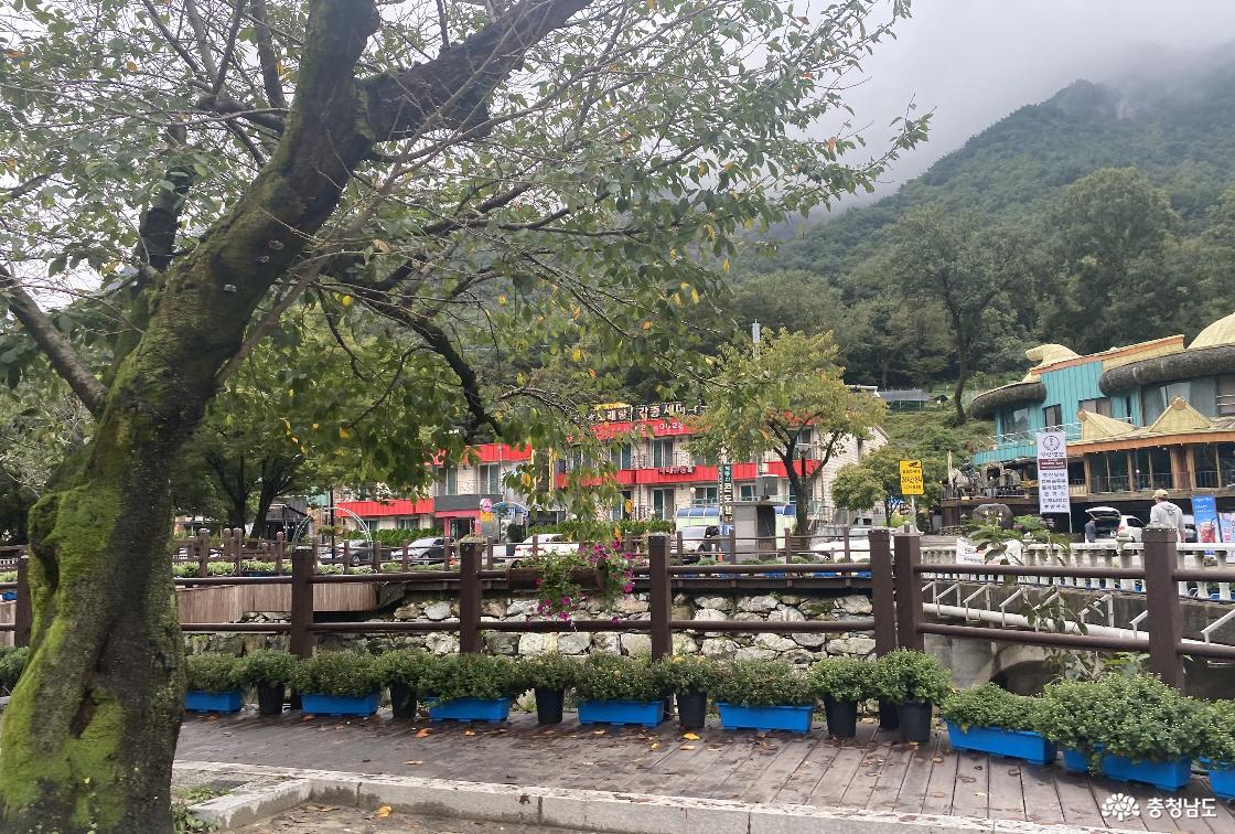 계룡산 국립공원 19