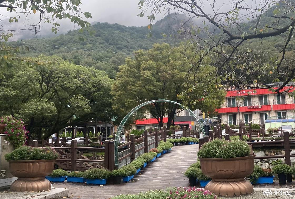 계룡산 국립공원 57