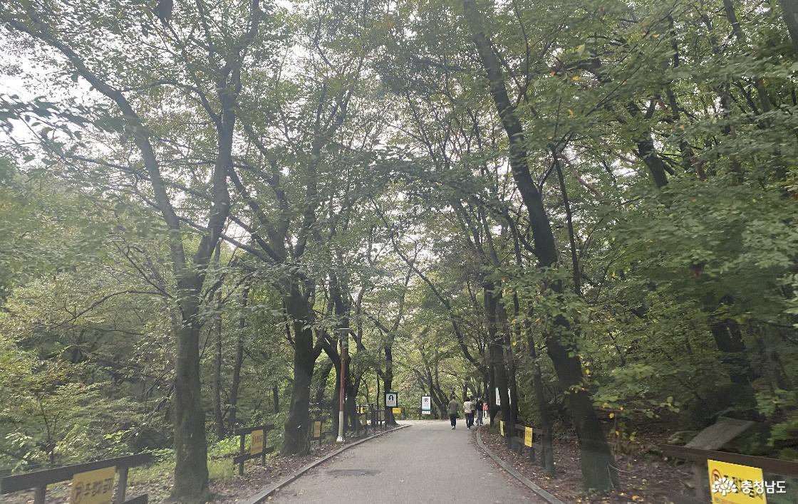 계룡산국립공원 545