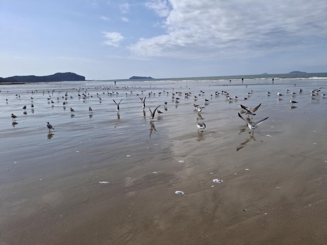 충남 산하