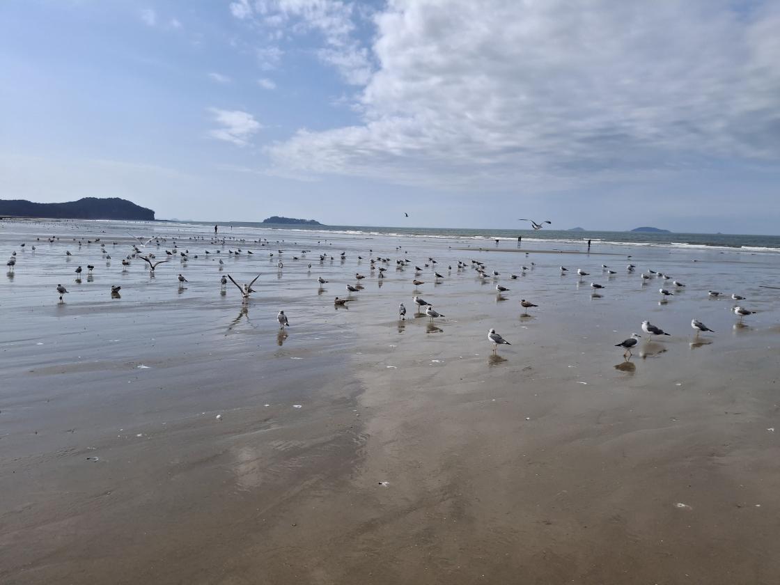 충남 산하