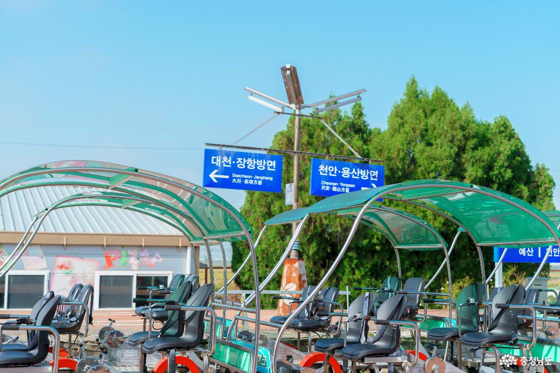 아산 레일바이크 전경