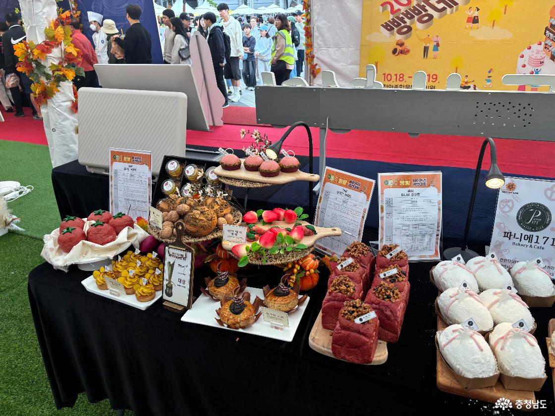 빵빵데이이미지