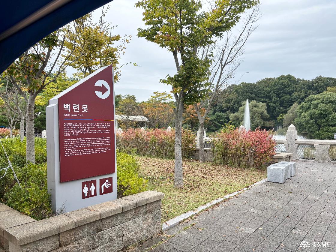백련못