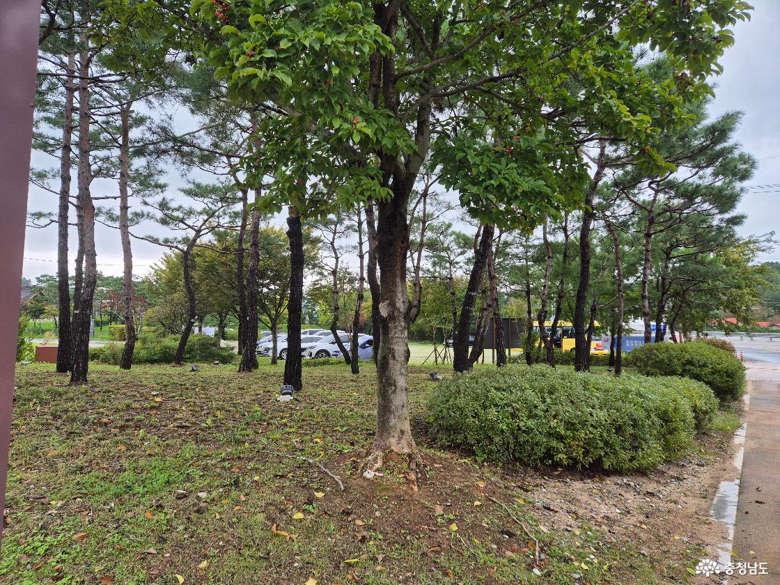 주차장입니다